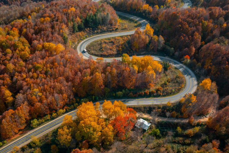 Our Favorite Road Trip Tips for Traveling With Kids