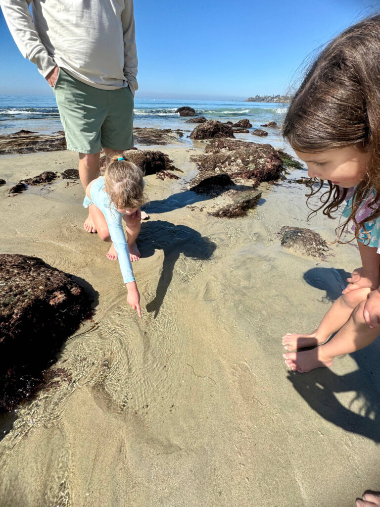Kids exploring tide pools in Laguna Beach California
